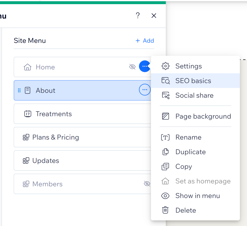 SEO basics tab on Wix Generator